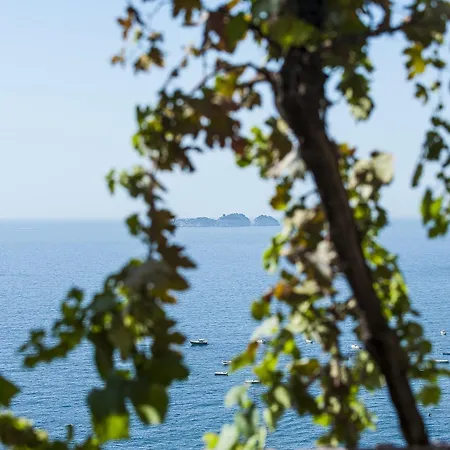 Готель California