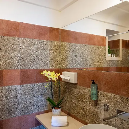 酒店 加州酒店 3*